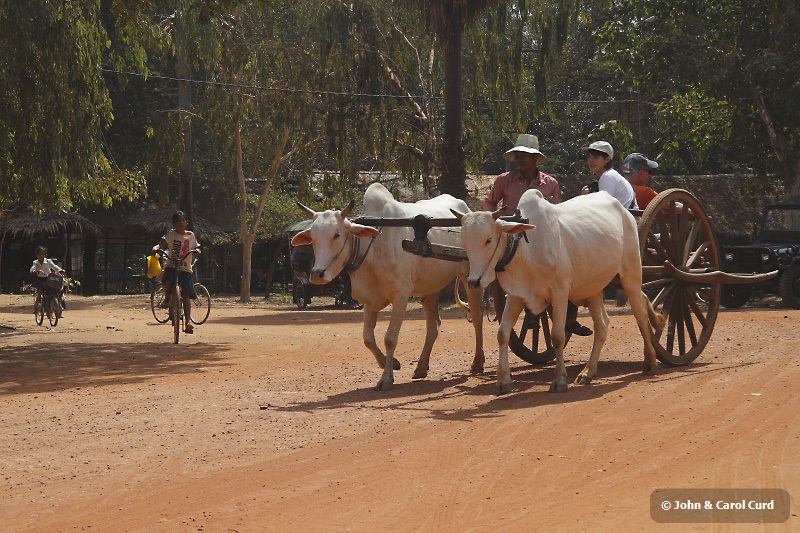 J01_1613 Ox cart ride.JPG
